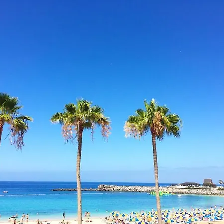 Aparthotel Club Playa 3*